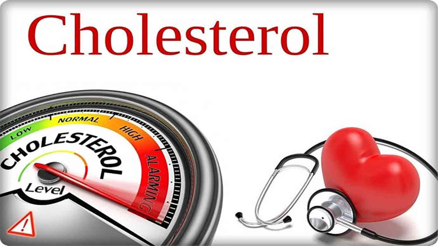 The link between dietary and blood cholesterol
